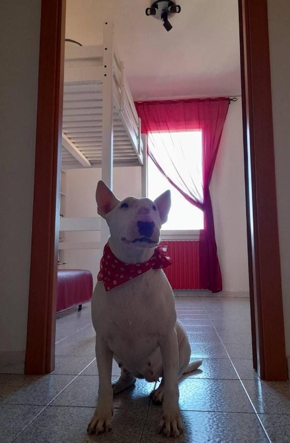 Bologna Homestay Zewnętrze zdjęcie
